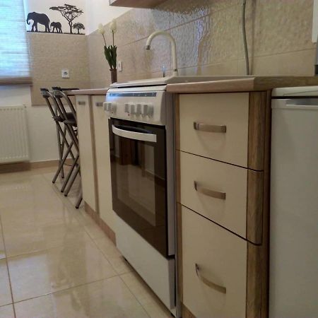 Studio Apartman Zdral Daruvar Εξωτερικό φωτογραφία