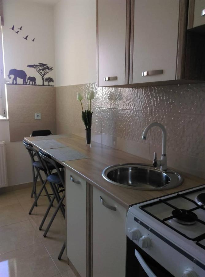 Studio Apartman Zdral Daruvar Εξωτερικό φωτογραφία