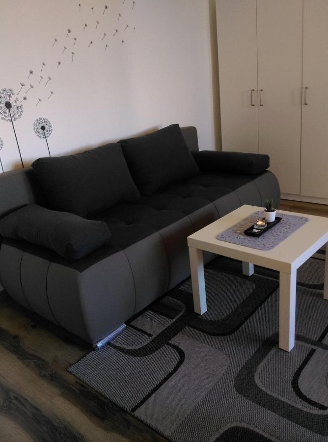 Studio Apartman Zdral Daruvar Εξωτερικό φωτογραφία