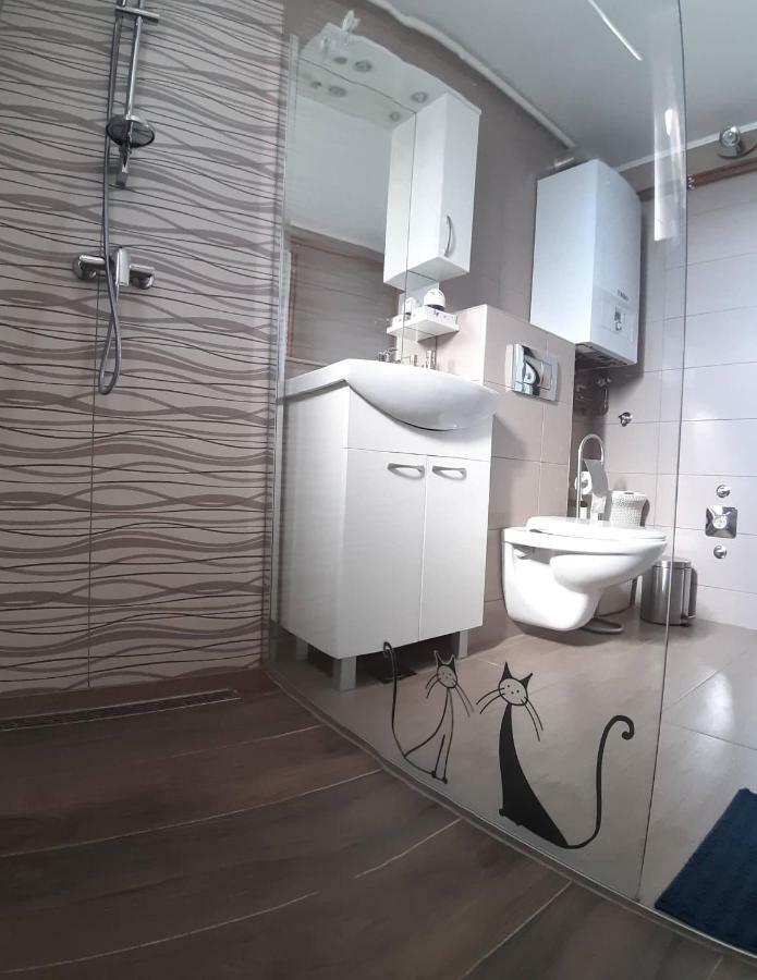 Studio Apartman Zdral Daruvar Εξωτερικό φωτογραφία