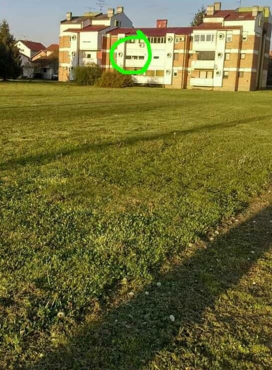 Studio Apartman Zdral Daruvar Εξωτερικό φωτογραφία